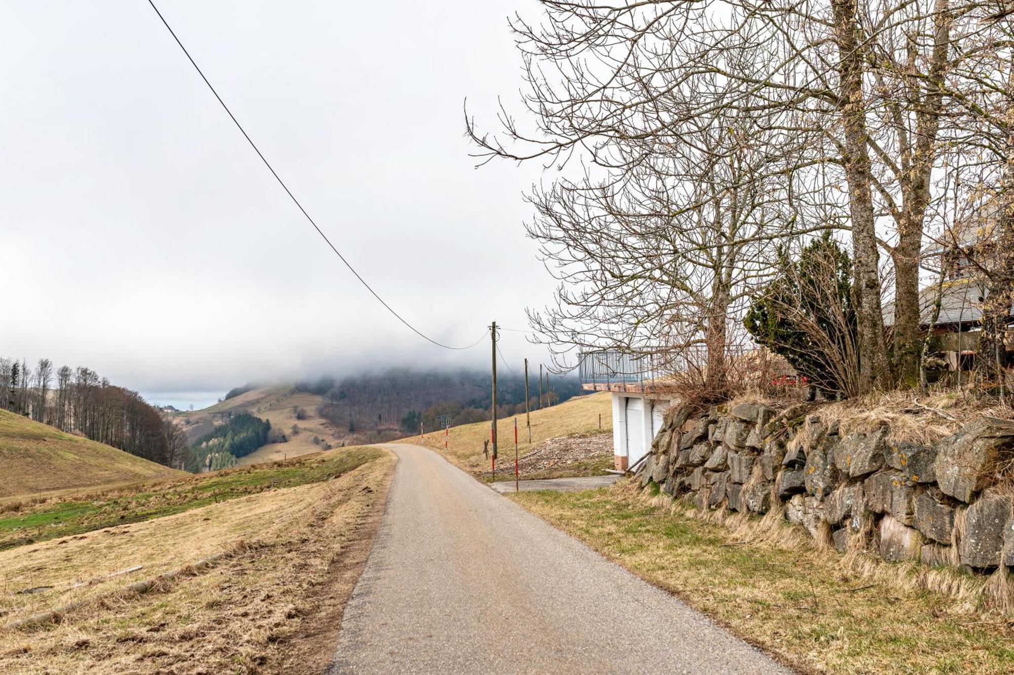Hofidylle Apartment Münstertal